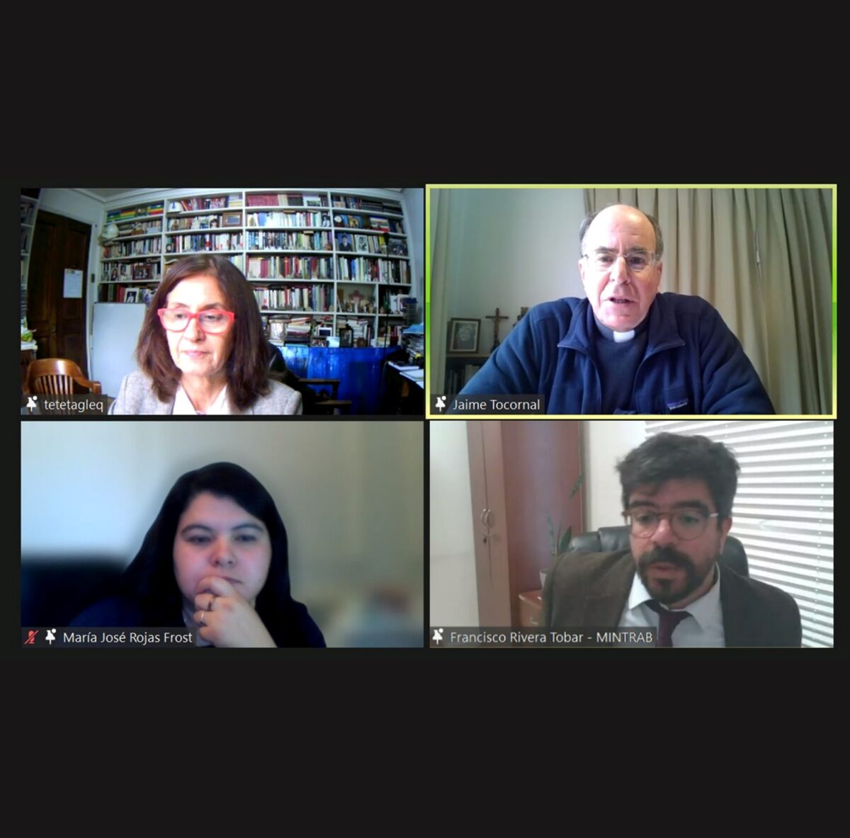 Imagen del Zoom de la 4° Versión Reflexiones Laborales. Se ven a moderadora y ponentes.